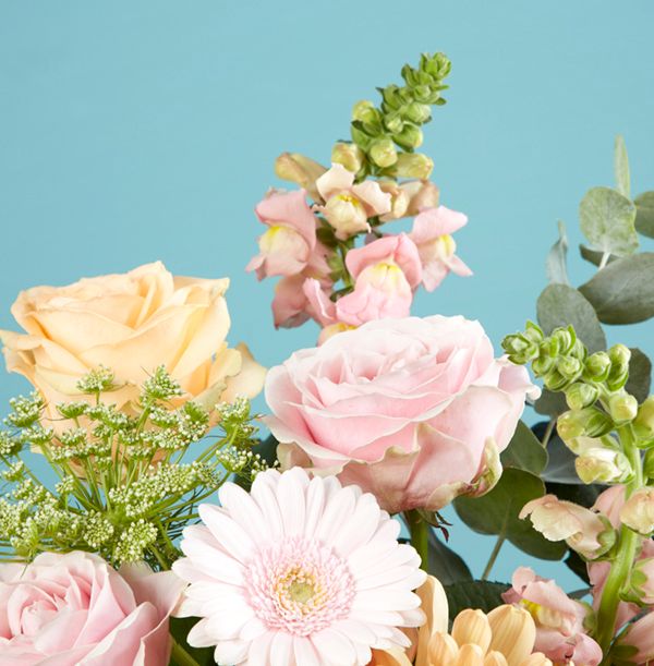 product image gallery_5