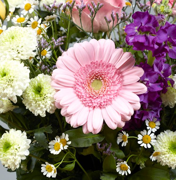 Product image gallery_5