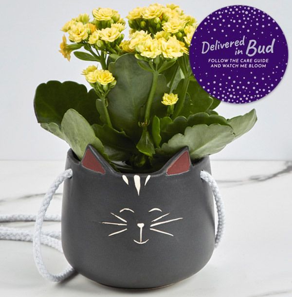 product image gallery_5