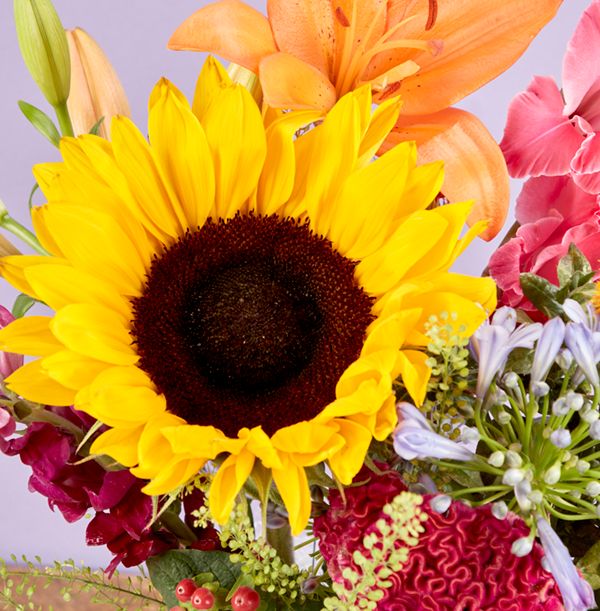 product image gallery_5
