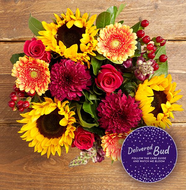 product image gallery_5