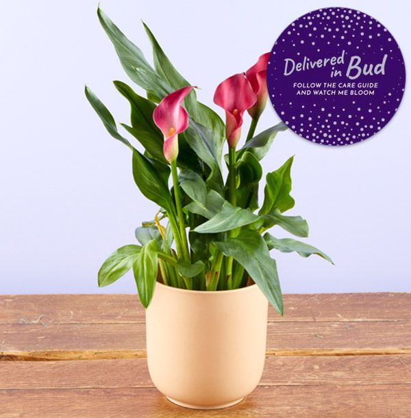 product image gallery_5
