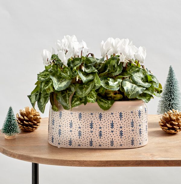 product image gallery_5