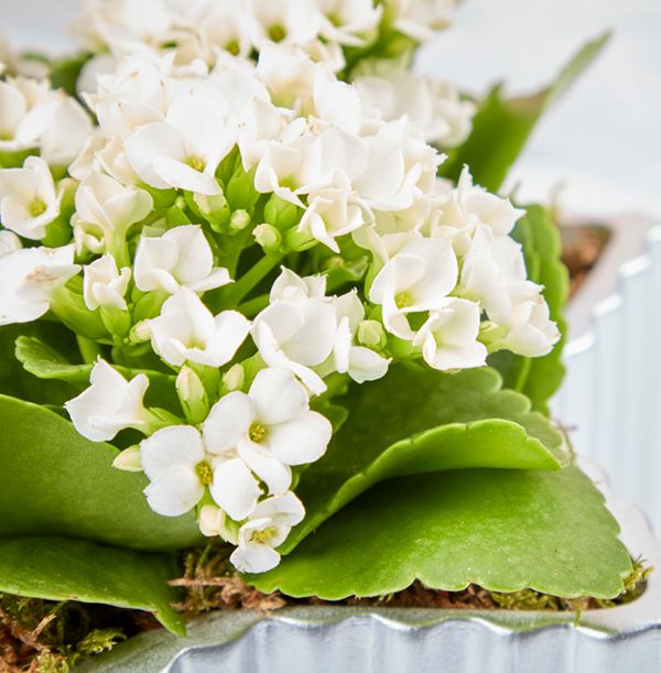 product image gallery_5