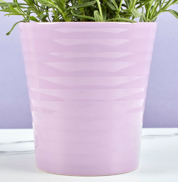 product image gallery_5