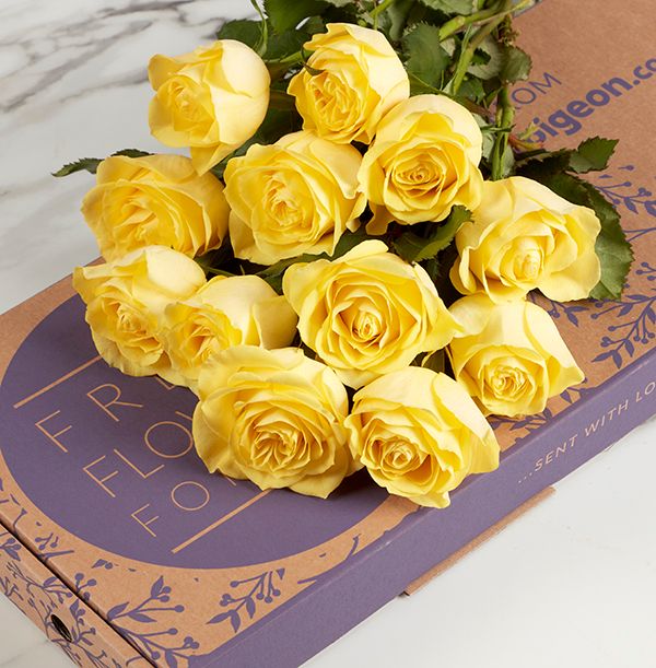 product image gallery_5