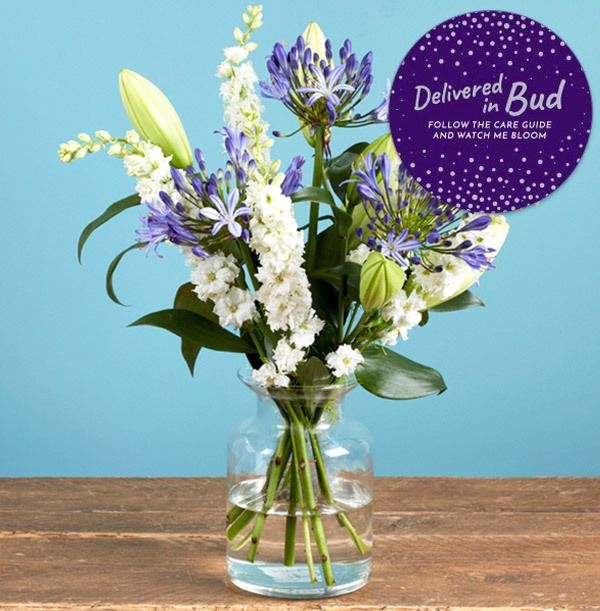 product image gallery_5