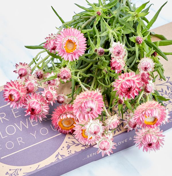 product image gallery_5
