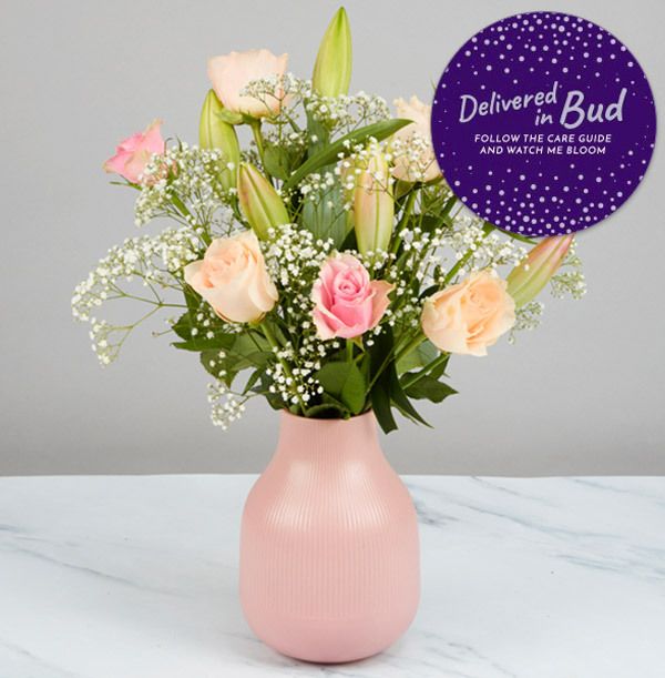 Product image gallery_5