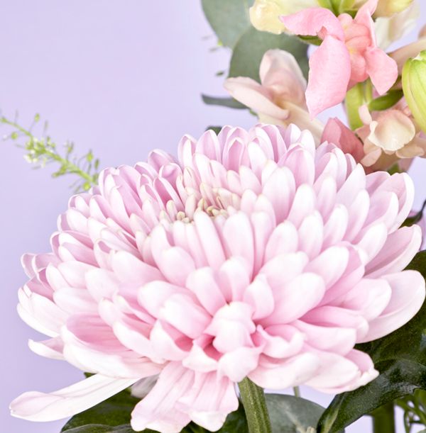 product image gallery_5