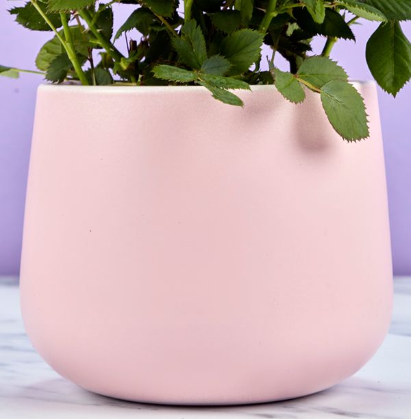 product image gallery_5