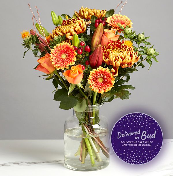 product image gallery_5