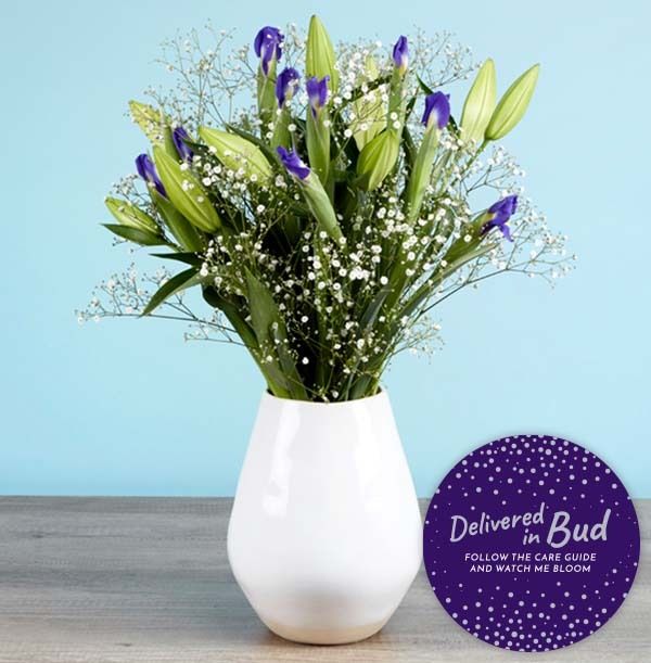 product image gallery_5