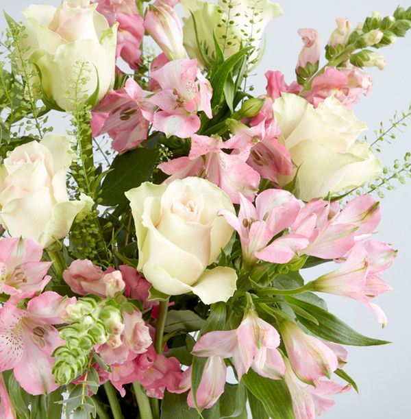 product image gallery_5