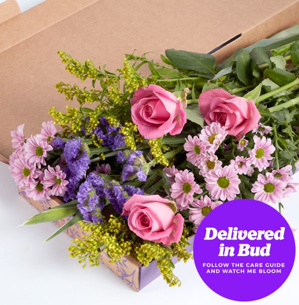 product image gallery_5