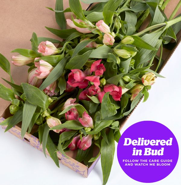 product image gallery_5