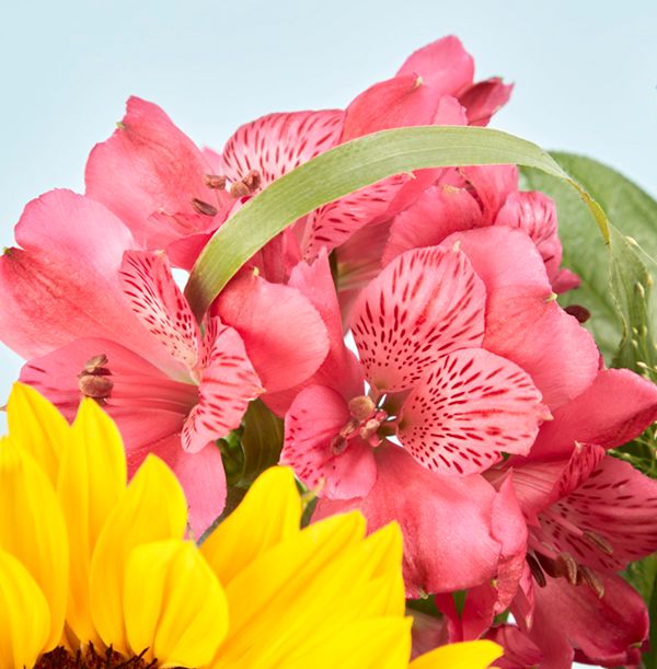 product image gallery_5