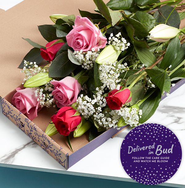 product image gallery_5