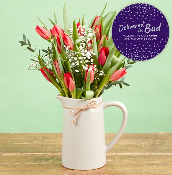 product image gallery_5
