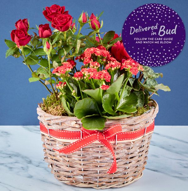 product image gallery_5