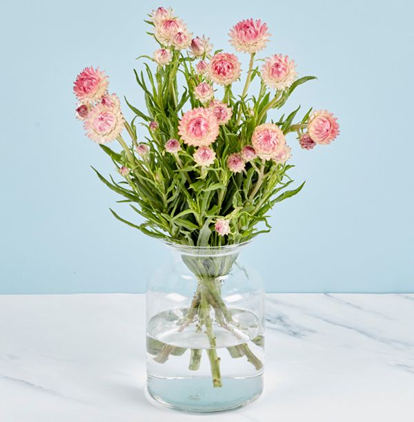 product image gallery_6