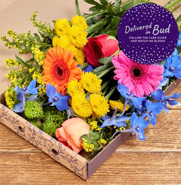 product image gallery_6