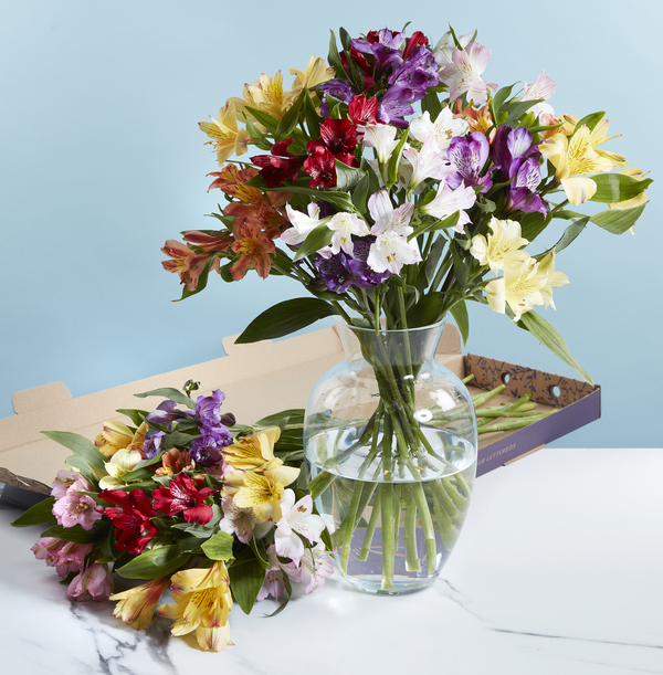 Bright Letterbox Alstroemeria Flowers - £17.99