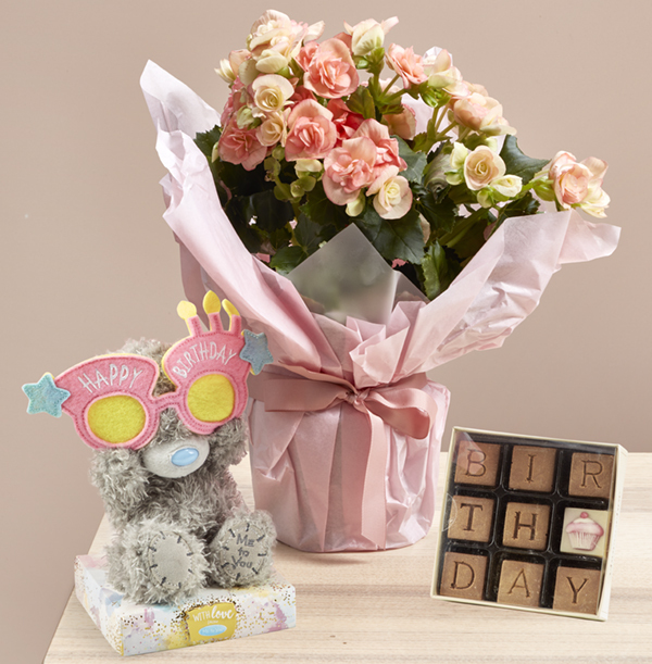 Birthday Begonia, Bear and Chocolate Gift Set