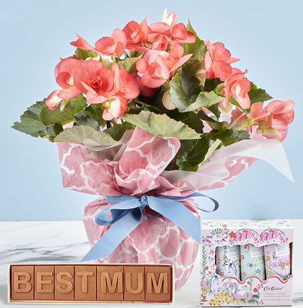 Best Mum Begonia Gift Set
