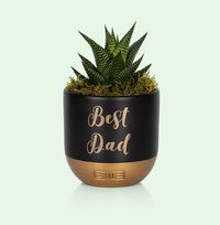 Tap to view The Little Botanical Best Dad Mini Haworthia in Black and Gold Ceramic