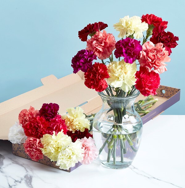 The Bright Letterbox Carnations - £17.99