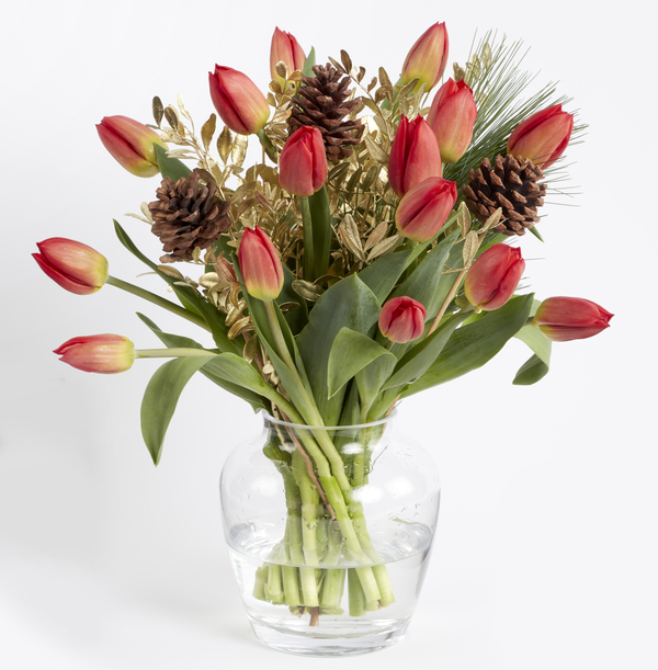 Christmas Red Tulips