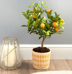 product image gallery_0