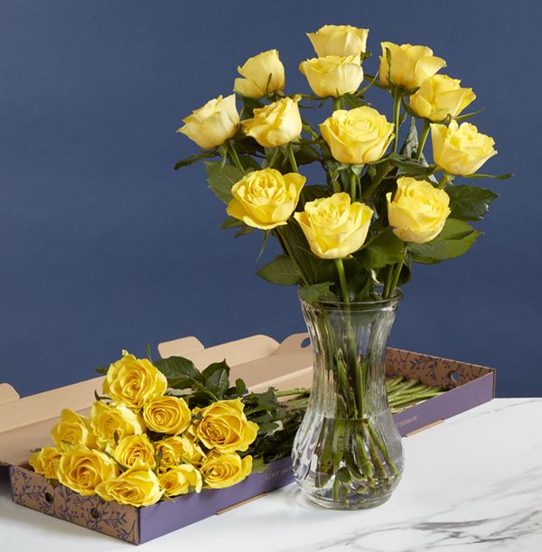The Letterbox Friendship Dozen Yellow Roses - £19.99