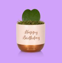 Tap to view The Little Botanical Happy Birthday Hoya in Pink and Copper Ceramic