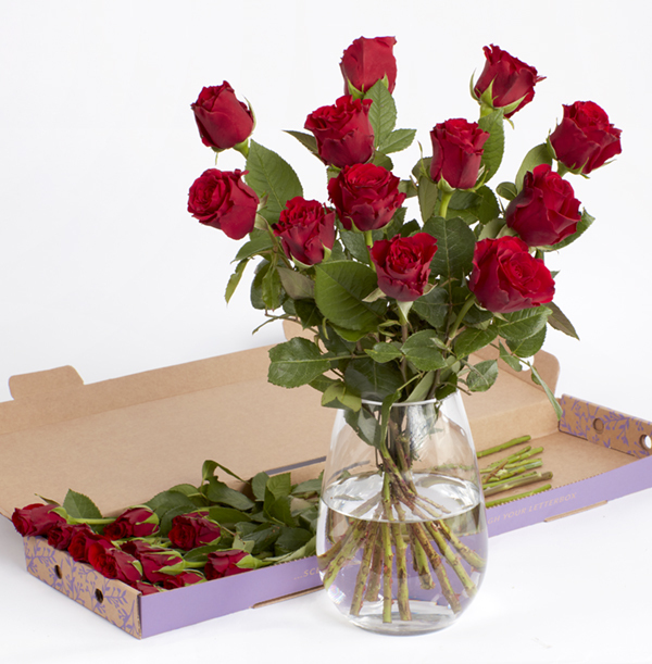 Dozen Red Rose Letterbox