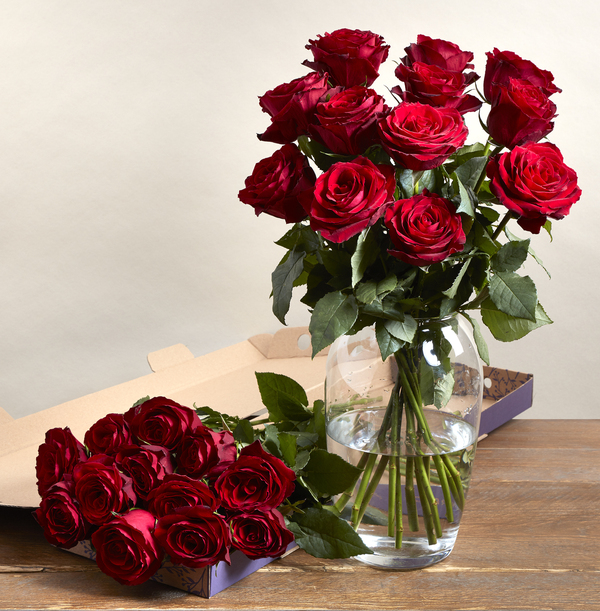 The Letterbox Dozen Red Roses - £22.99