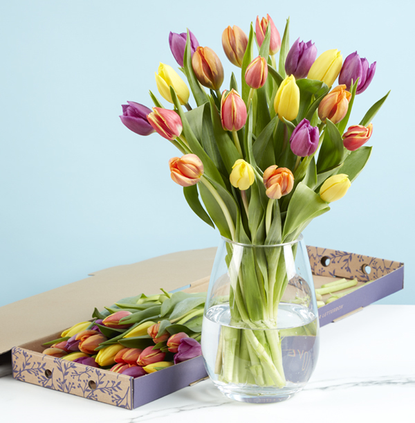 The 20 Mixed Tulip Letterbox