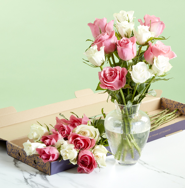 The Letterbox Pink and White Roses - £22.99