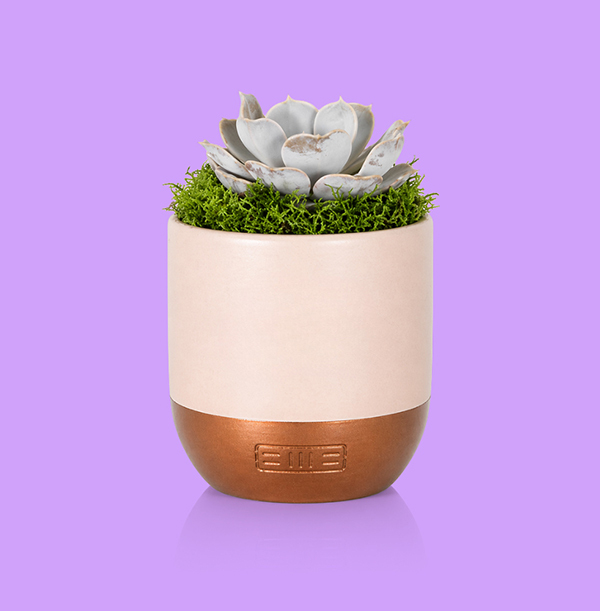 The Little Botanical Lilacina in Pink and Copper Ceramic