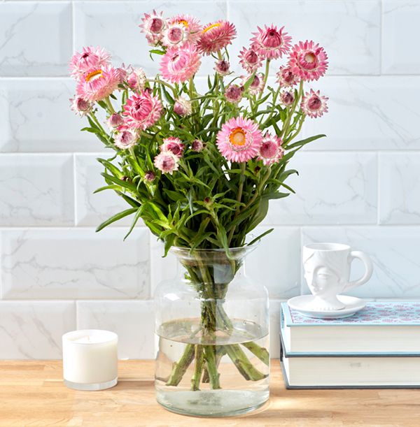product image gallery_main