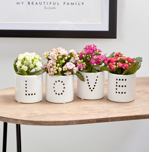 LOVE Ombre Plant Pots