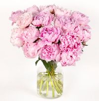 Tap to view Luxury Pink Peonies