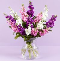 Tap to view Luxury Purple Stocks Bouquet