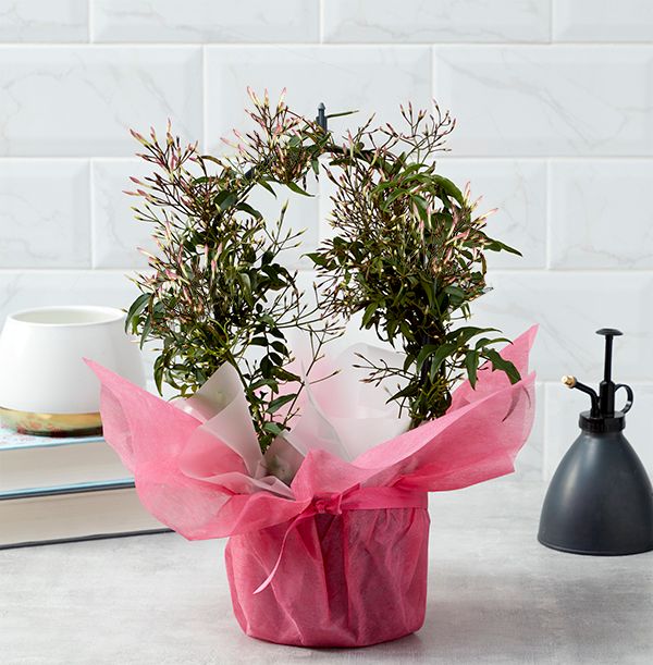 product image gallery_main
