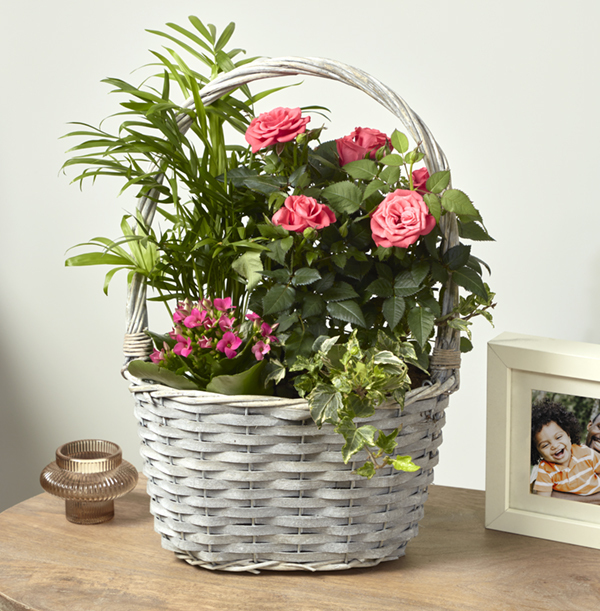 Mothers Day Basket