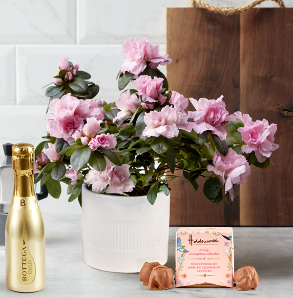 Mums Little Treats Gift Set