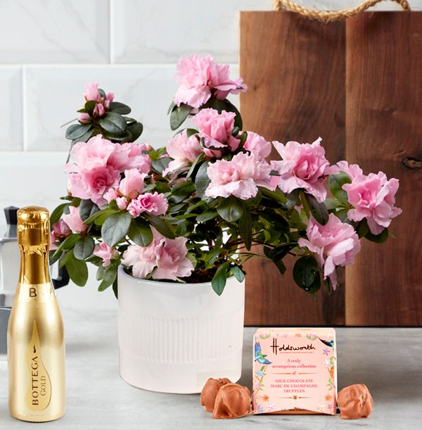 product image gallery_main