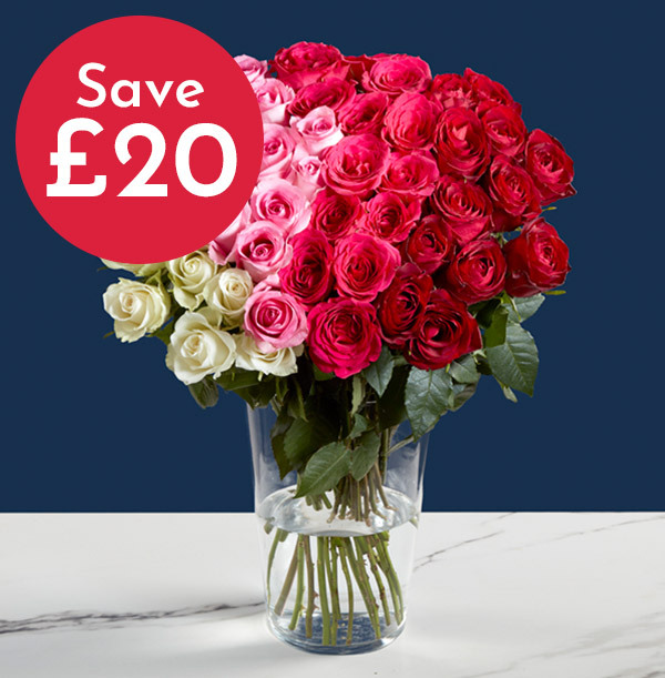 The 50 Ombre Roses Bouquet ZDISC
