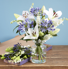 Ready to Arrange Oriental Lily and Agapanthus Letterbox